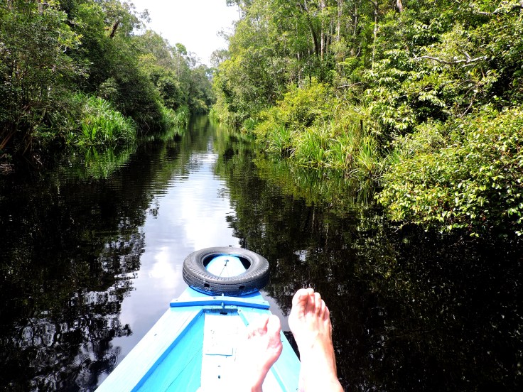 06-borneo-rio-sekoyner-0-16