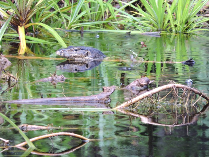 06-borneo-rio-sekoyner-0-27