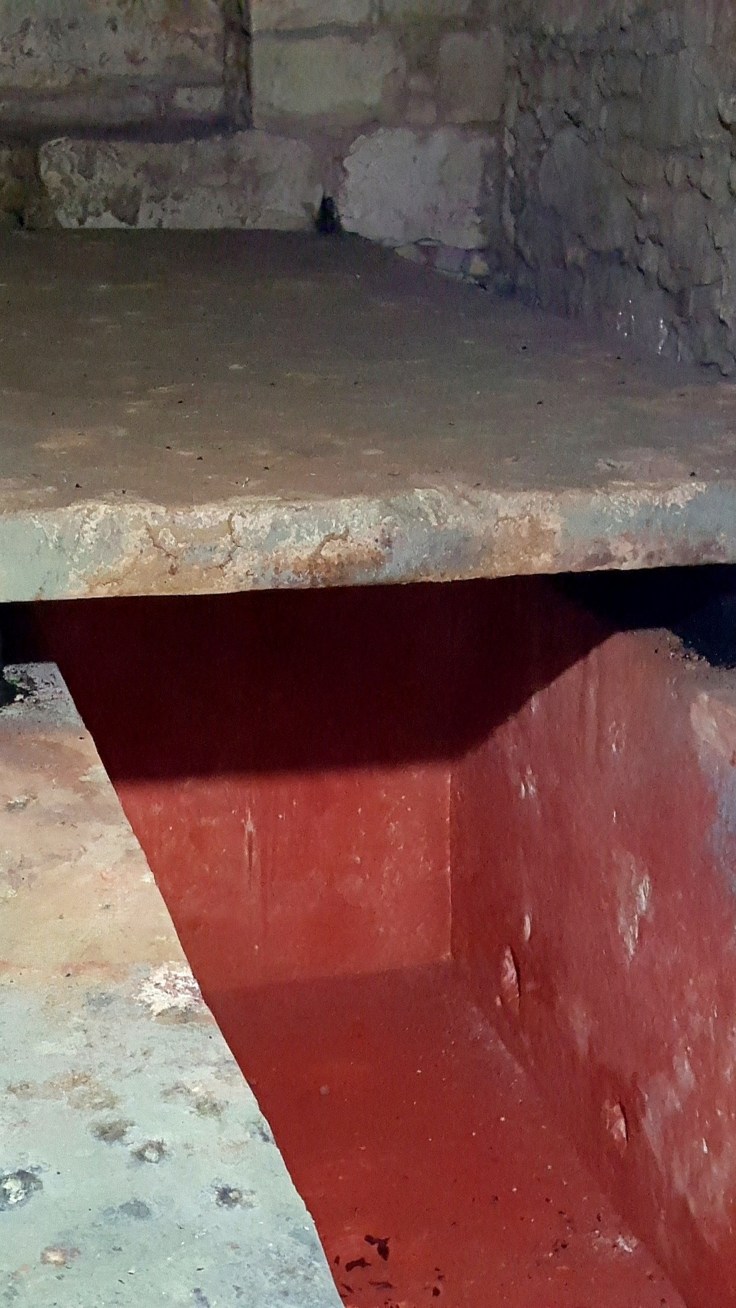 20160821_174913-vertical