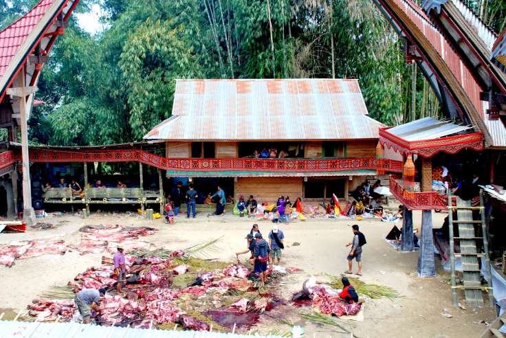 12-Indonesia-Sulawesi-Nanka-funeral (2)