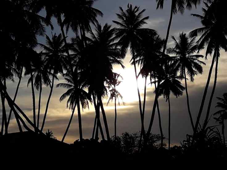 30-Sri-Lanka-General (1)