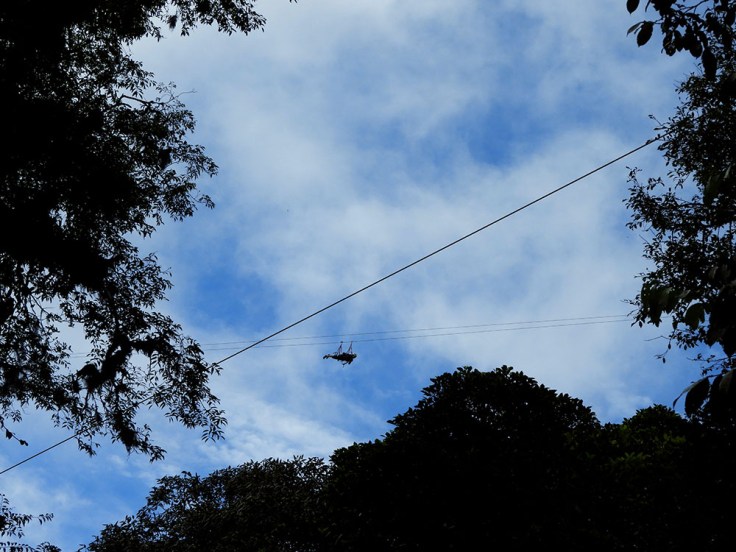 04-CR-CAM-Monteverde- (44)