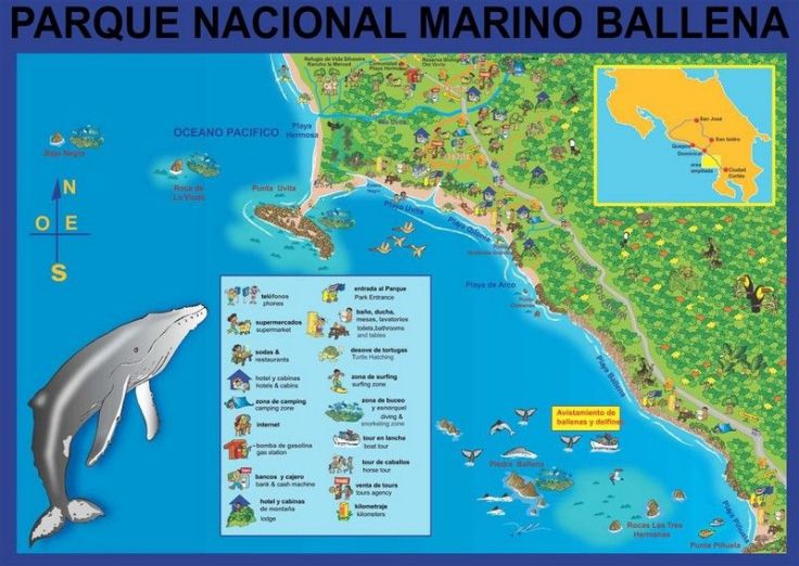 mapa-PN-Marino-Ballena