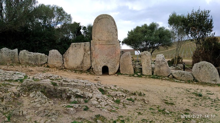 03-Cerd-Mov-02-Tumba-Gicante-0 (2)