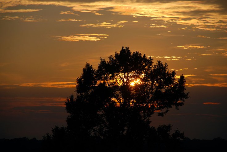 02-Camboya-Siem-Reap-05-Phomn Bakheng-0 (32)