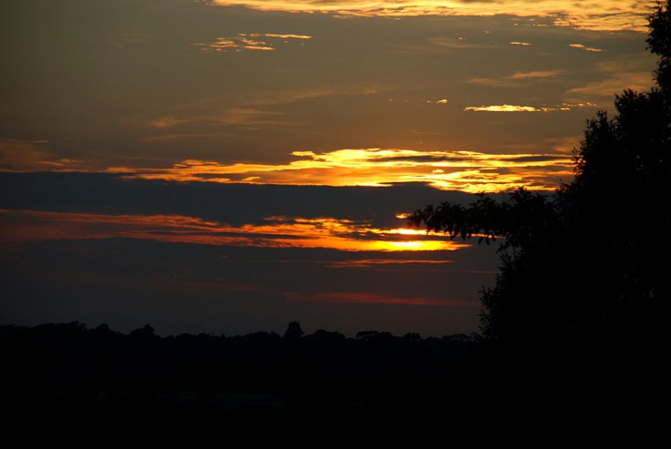 02-Camboya-Siem-Reap-05-Phomn Bakheng-0 (37)